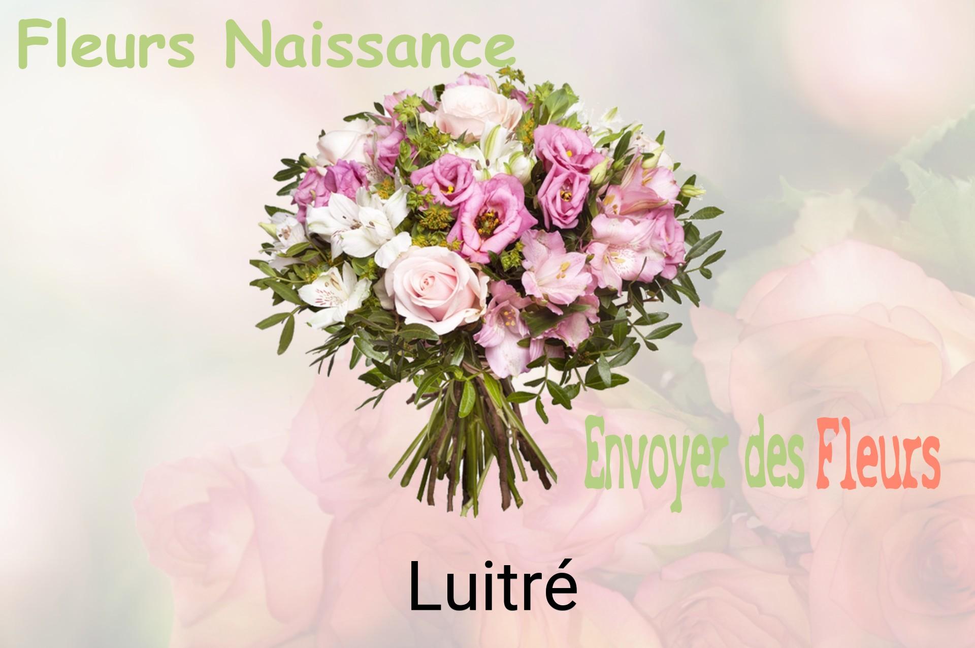 Bouquet de fleurs de naissance livré à Luitré
