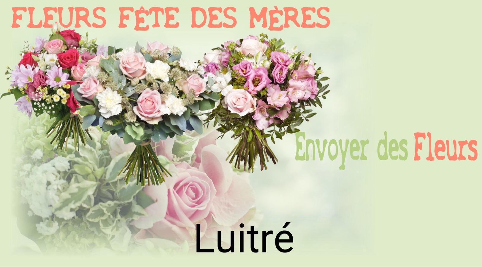 Bouquet de Fête des Mères livré à Luitré
